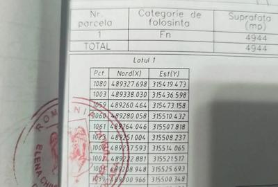 Teren de 4944 mp, în Dobra - 10