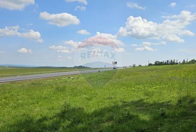 Teren Ilisesti  7000mp extravilan/ DN 17, Suceava - 12