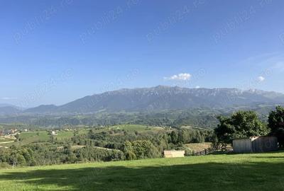 Casă cu 6 camere în Peștera - 7