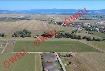 De vânzare teren extravilan în Sfântu Gheorghe pe „Dealul Bunica”! - 2