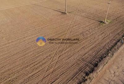 Teren investi?ie intravilan 3600 mp Dumbrava Ro?ie - 1