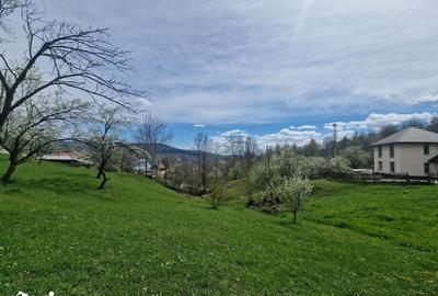 Teren de 3500 mp, în Ghioșești - 7