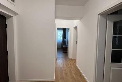 Apartament 2 camere mobilat si utilat Straulesti - 10