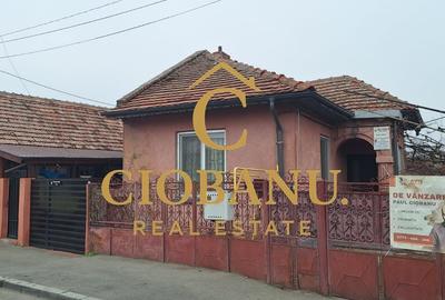 Casa de vanzare zona Campia Islaz - 6