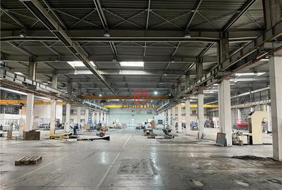 Depozit/hala/spatiu industrial Militari - Timisoara - 6