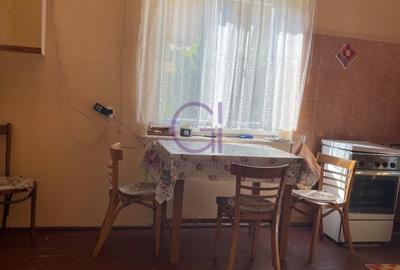 Casa vintage de inchiriat cu gradina de poveste langa Parcul Sub Arini - 8