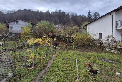 Casă cu 4 camere cu Teren 600 Mp în Ferneziu - 6