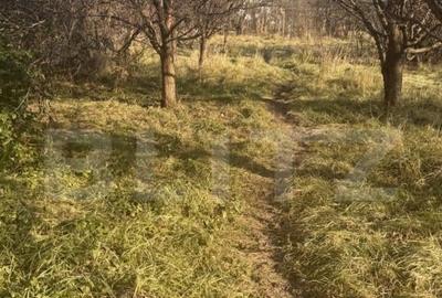 Casa individuala, 7 camere, 217 mp, 624 mp teren, zona Frate Casa individuala, 7 camere, 217 mp, 624 mp teren, zona Frate - 7