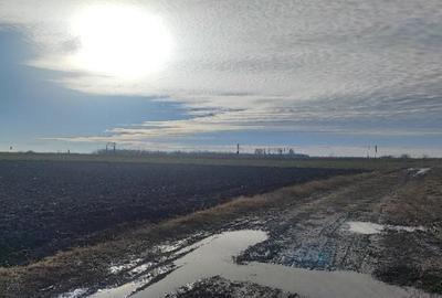 Cota 1/2 teren Comuna Dragoș Vodă, sat Dragoș Vodă - 4