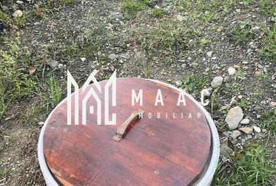 Teren Construcții intravilan de 14242 mp, în Sohodol - 8