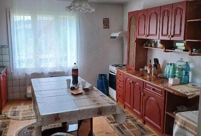 Casă cu Teren 3536 Mp în Coșna - 2