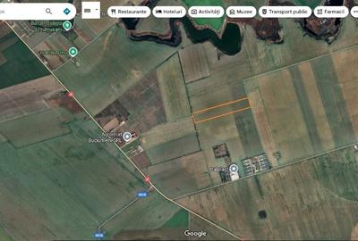 Vand terenuri in zona Frumusani / Buciumeni / Budesti jud. Calarasi - 7