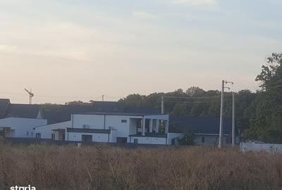 Spațiu comercial, în Balotești - 4