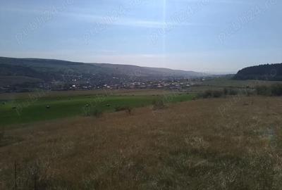 Teren de 8000 mp, în Chinteni - 8