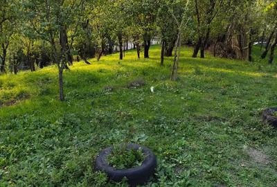 Casa de vanzare - teren 2357 mp in comuna Pietrari - 2