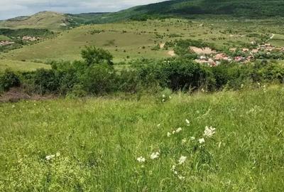 Teren de 2200 mp, în Rădaia - 8