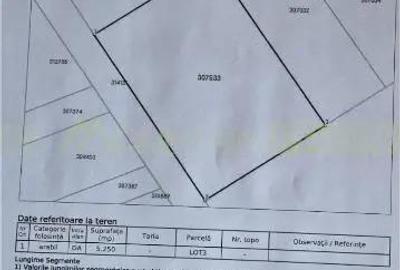 Pecica, jud Arad, 6ha teren de vanzare Pecica, jud Arad, 6ha teren de vanzare - 11