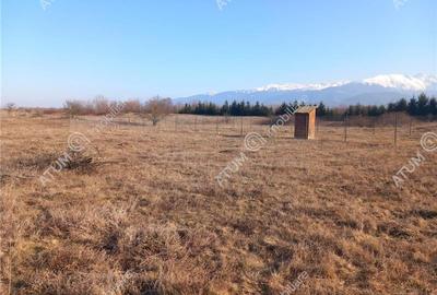 Teren intravilan 1000 mp pe Valea Avrigului la drum asfalta - 2