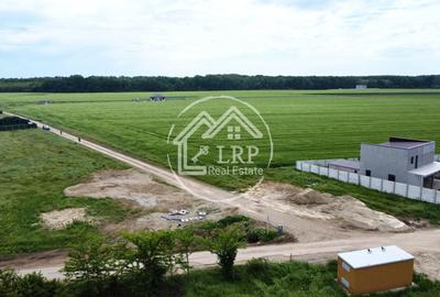 Teren Construcții intravilan de 25000 mp, în Dascălu - 8