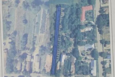 Teren în Miloșești - 6