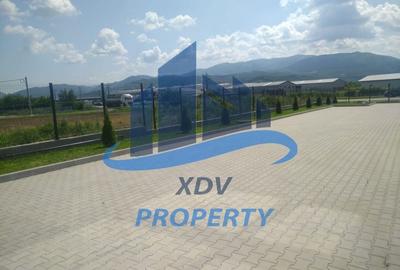 Spatiu comercial  1274 mp utili , teren 7261 mp Spatiu comercial  1274 mp utili , teren 7261 mp - 9