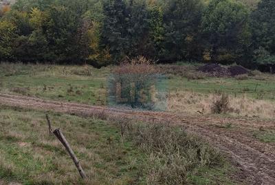 Hotel/Pensiune, de 240 mp, în Ștubeiu - 5