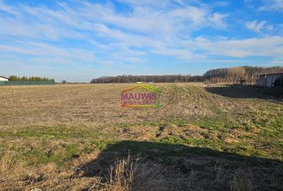 Magurele Strada Stejarului - 6