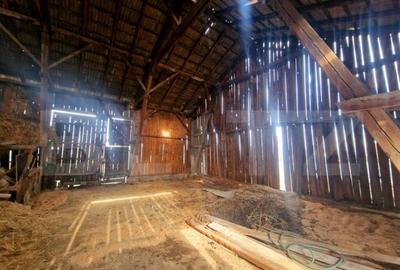 Casa 4 camere, 2432 mp teren - 9