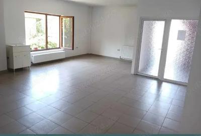 Inchiriez in zona cu vad - 1