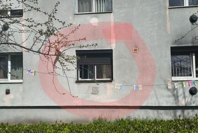 Garsonieră în Timișu de Jos - 3