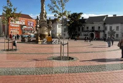 Apartament cu 2 camere semidecomandat în Central - 1