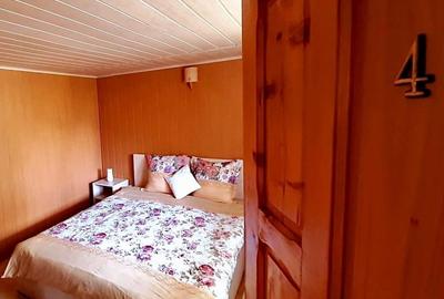 Pensiune 7 camere, Lepsa - 22