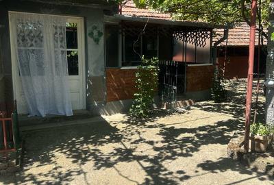 Casă cu 5 camere cu Teren 2500 Mp în Tăut - 6