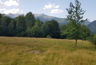 Teren de 2000 mp, în Uric - 3