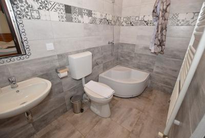 Casă cu 4 camere în Râu Sadului - 8