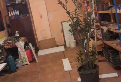 Dau in chirie spatiu comercial - 3