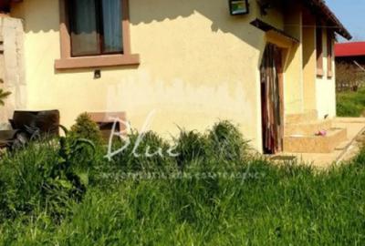 Casă cu 2 camere cu Canalizare în Mihail Kogălniceanu - 9