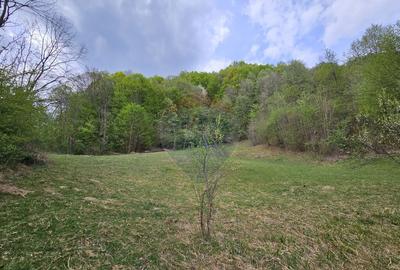 Teren superb, intravilan - la marginea padurii ! - 24