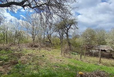 Casă cu Teren 2671 Mp în Plai - 4