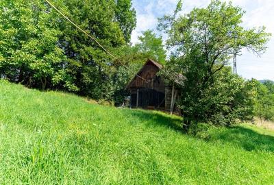 Casă individuală cu 3 camere cu Teren 9995 Mp în Ormindea - 45