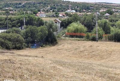 Teren de 6050 mp, în Șimnicu de Sus - 3