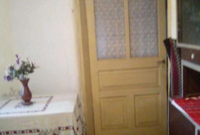 Casa in com. Cascioarele CL - 8