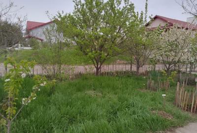 300 m și 500m strada cornilor