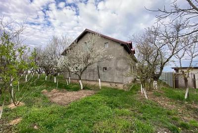 Casă cu 4 camere cu Teren 5276 Mp în Alparea - 9