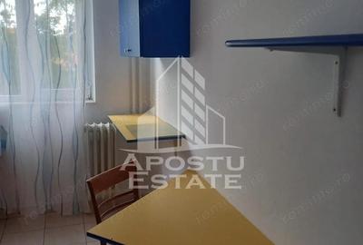 Garsonieră decomandată în Iosefin - 1