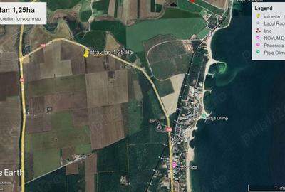 Teren de 12500 mp, în 23 August - 4