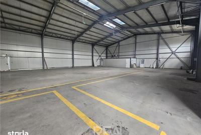 Spațiu comercial, de 1,000 mp, în Cernica - 5