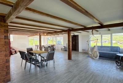 EXCLUSIVITATE! Cabana CHEILE TURZII, teren 8700 mp, priveliste superba - 3