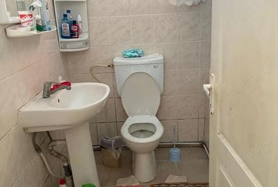 Casă cu 3 camere în Cruceni - 8