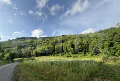 Teren intravilan de 4558 mp - 1